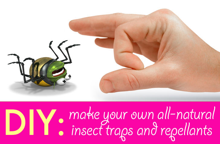 DIY Helps to remove your home pests