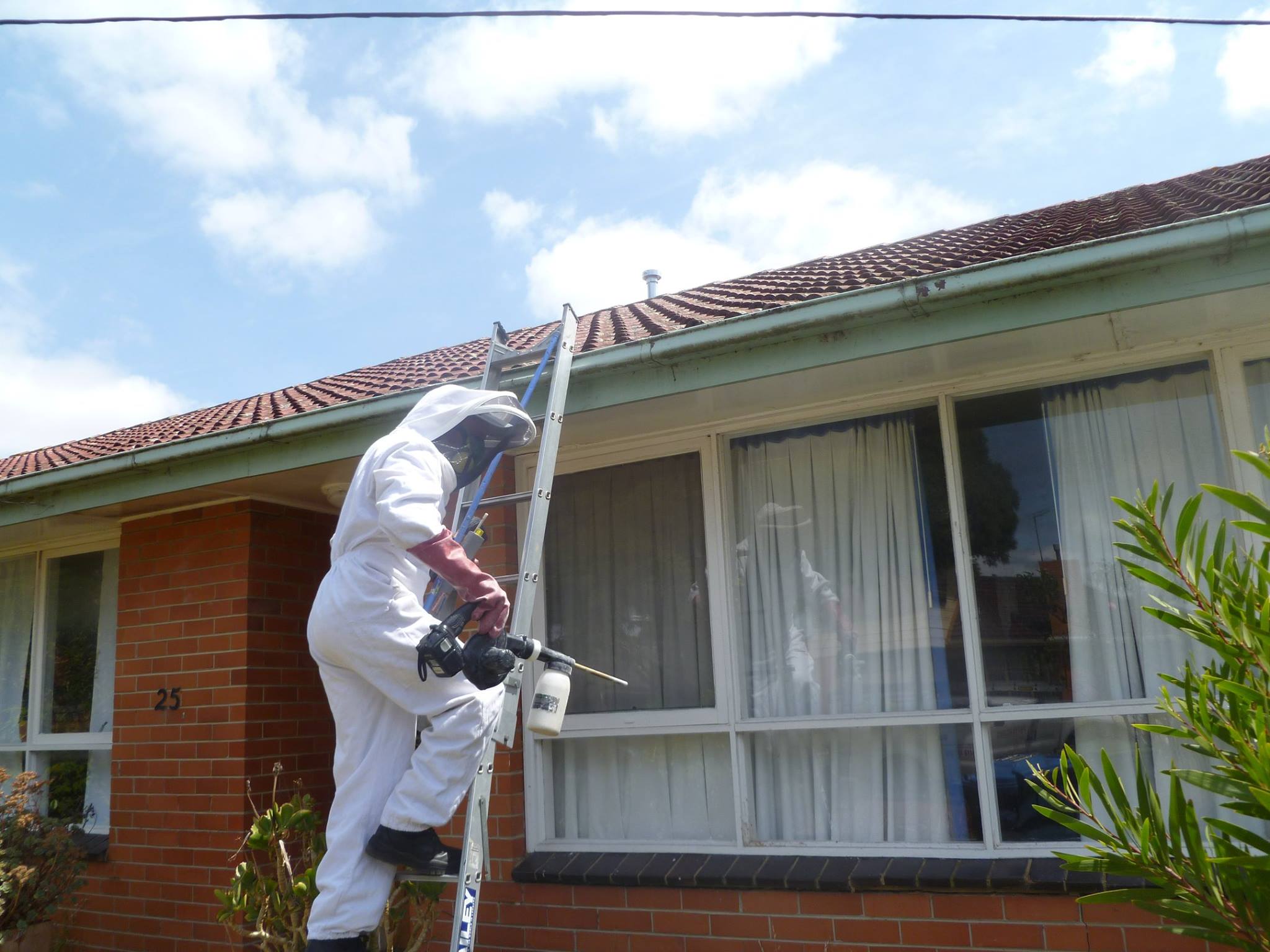 Why to Enroll For End of Lease For Pest Control Services and Get Rid of Pest Woes