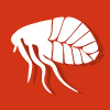 Flea Control Maribyrnong