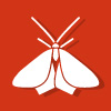 Moth Control Bravington