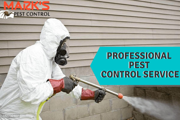 Professional Pest Control service-Marks Pest Control