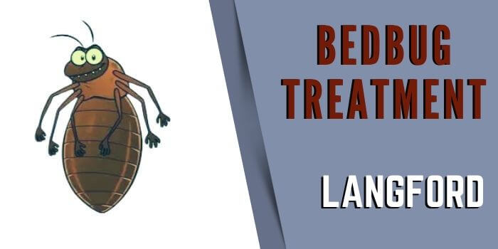 bedbug control Langford