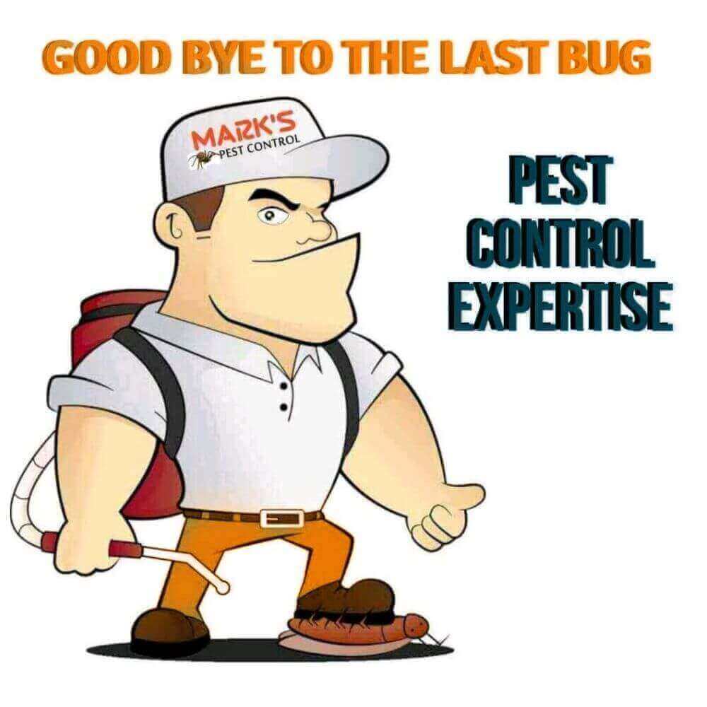 complete pest solution