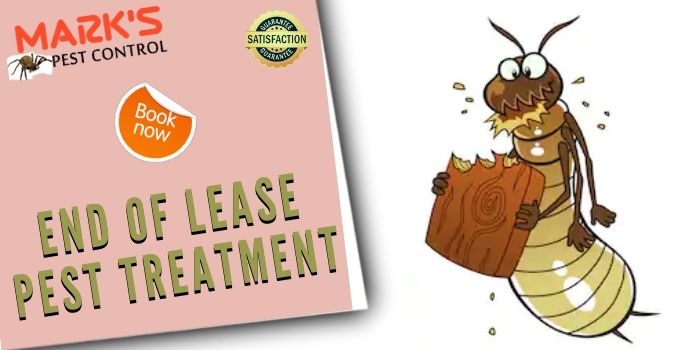 end of lease pest treatment