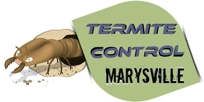 termite control Marysville