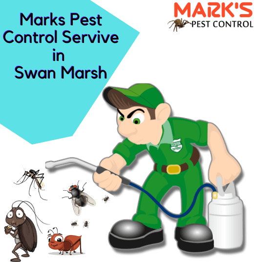 Marks Pest Control Swan Marsh