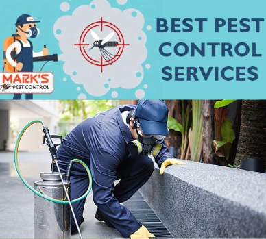 Best Pest Control Mornington Peninsula