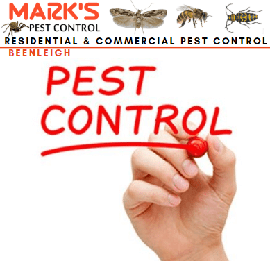 pest removal service