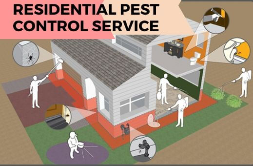 Residential Pest Control Gatton