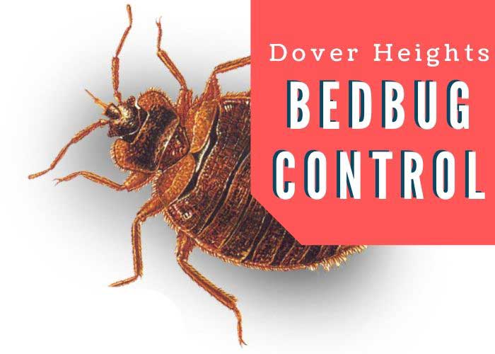Bedbug control Dover Heights