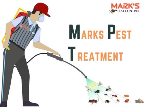marks pest treatment