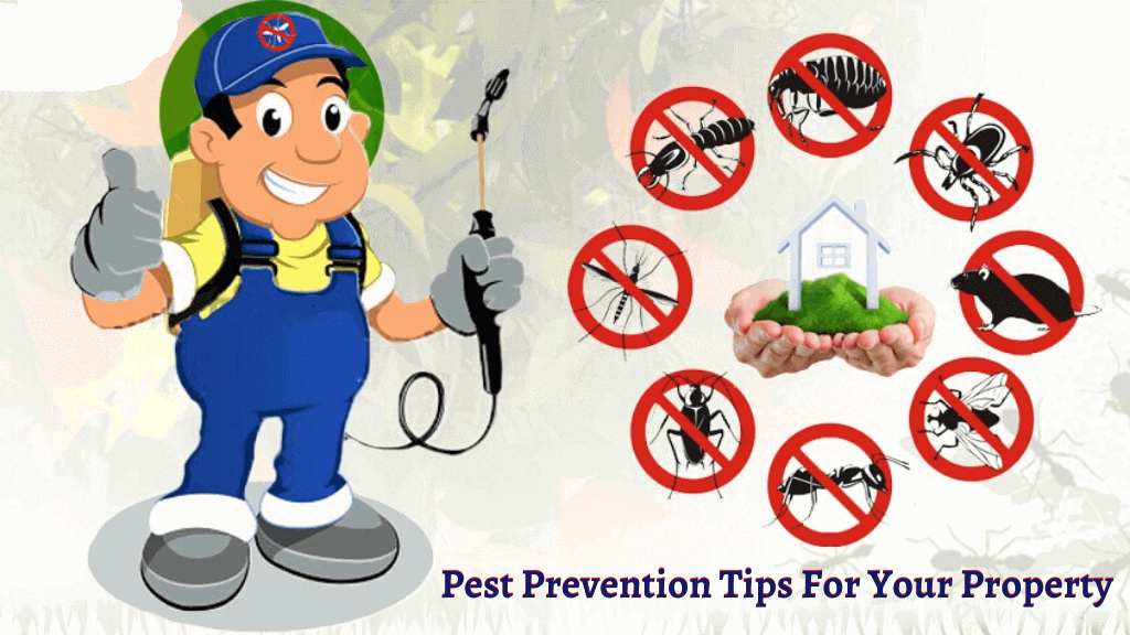tips to prevent pest