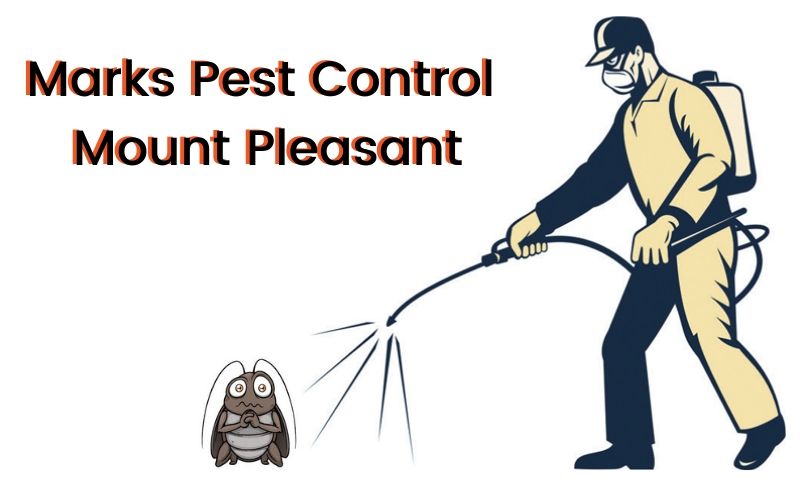 Pest Control Mount Pleasant