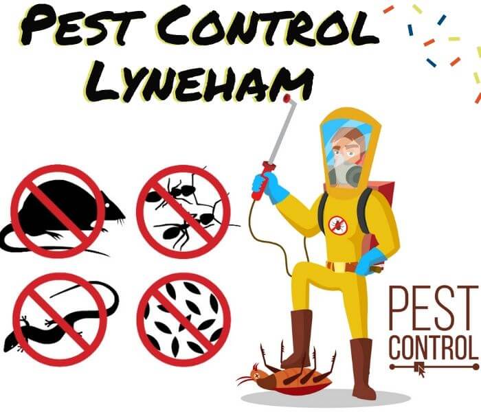 Pest Control Lyneham