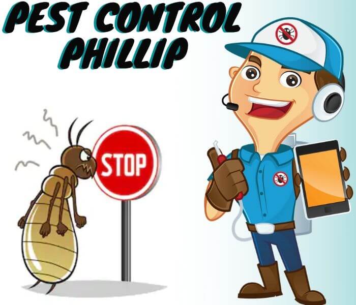 Pest Control Phillip