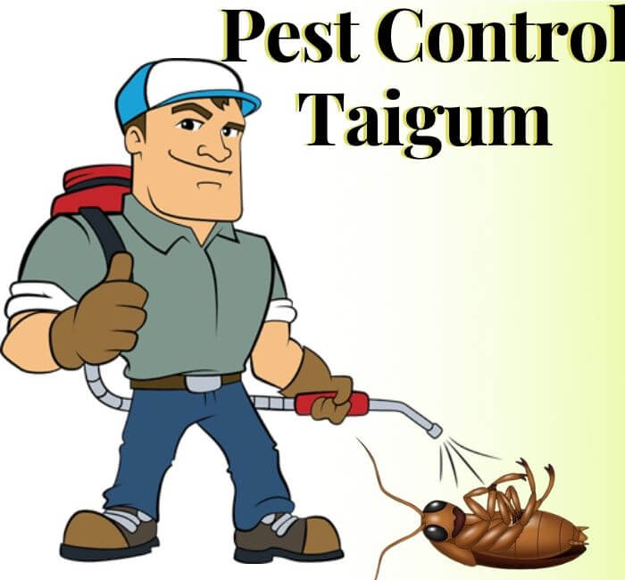 Pest Control Taigum