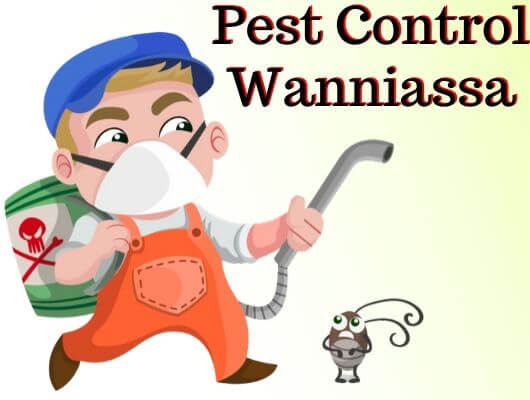 Pest Control Wanniassa