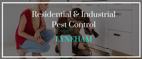 Pest Removal Treatment