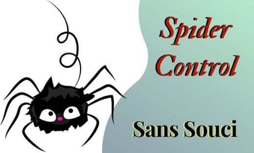 Spider Pest Control Sans Souci