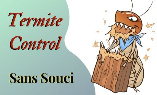 Termite Pest Control Sans Souci
