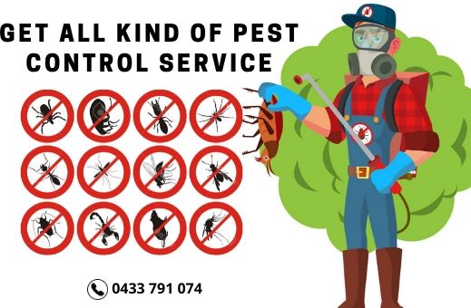 Best Pest Control Service