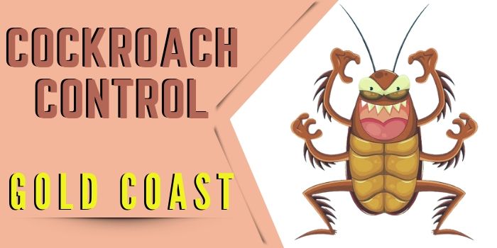 cockroach control gold coast
