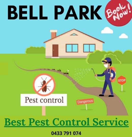 Pest Control Bell Park