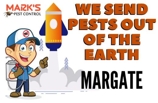 Pest control Margate