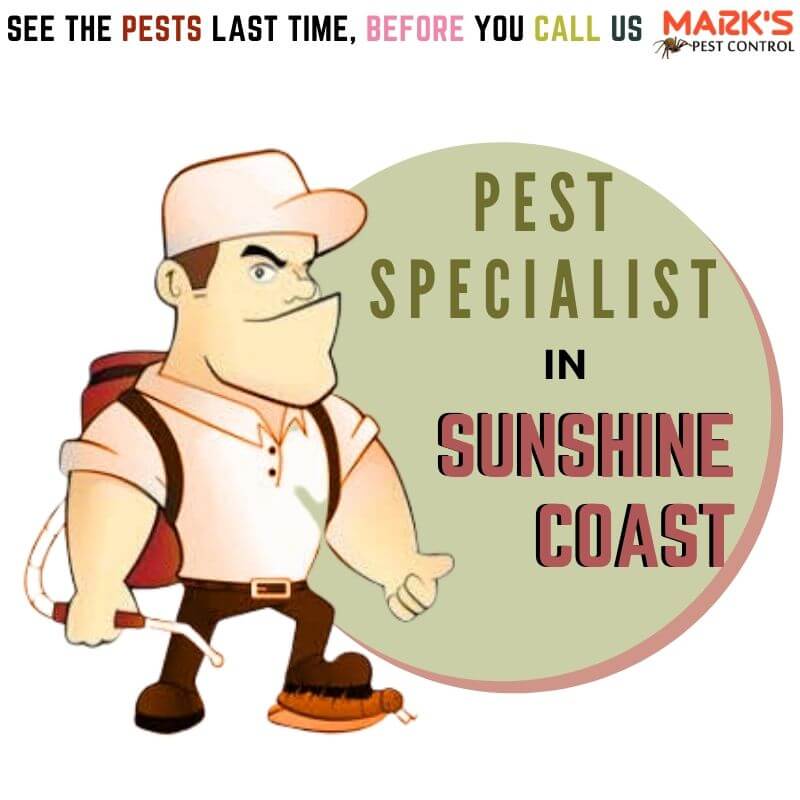 pest specialist in sunshine coast