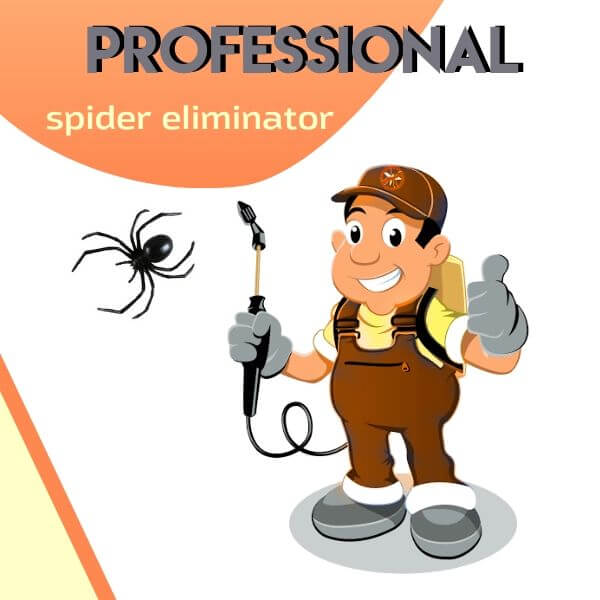 professional spider controller