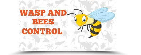 Wasp And BeesControl Service