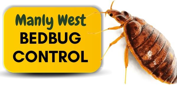 Bedbug control Manly West