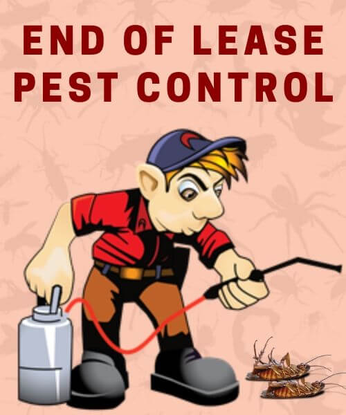 End of lease pest control