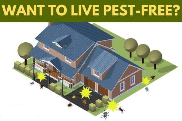 Residential pest control Teneriffe