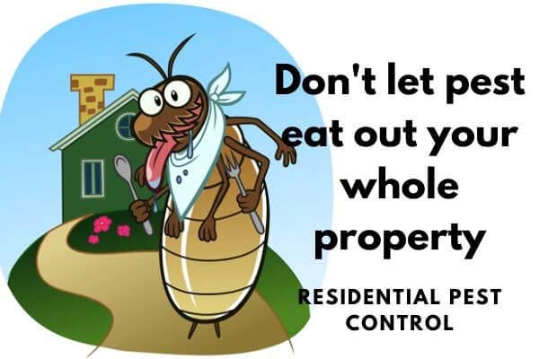 Residential pest control
