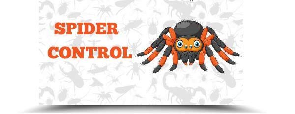 Spider Control