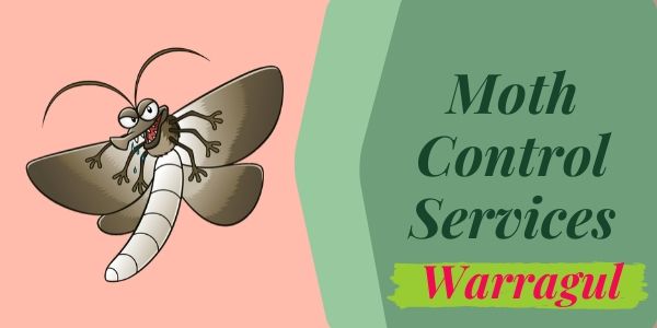 Moth Control Service