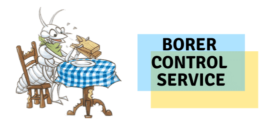 Borer Control Service-Marks Pest Control