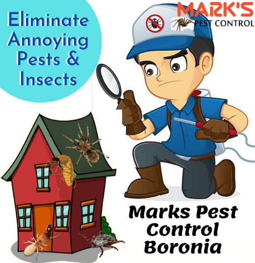 Marks Pest Control Boronia
