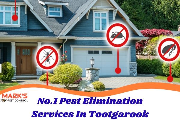 No.1 Pest Elimination Services In Tootgarook