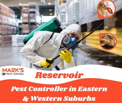 Pest Controller in Eastern & Western Suburbs Reservoir