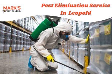 Pest Elimination Service In Leopold
