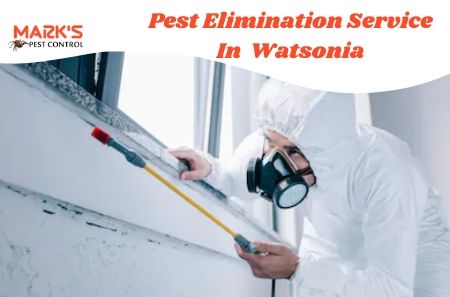 Pest Elimination Service In Watsonia
