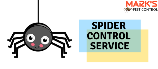 Spider Control Service-Marks Pest Control