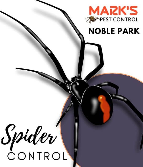Spider control Noble Park