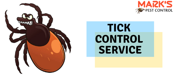 Tick Control Service-Marks Pest Control