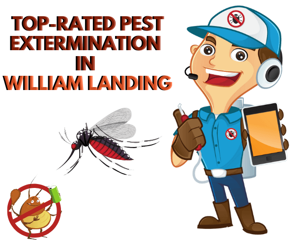 Top-Rated Pest Extermination in William Landing