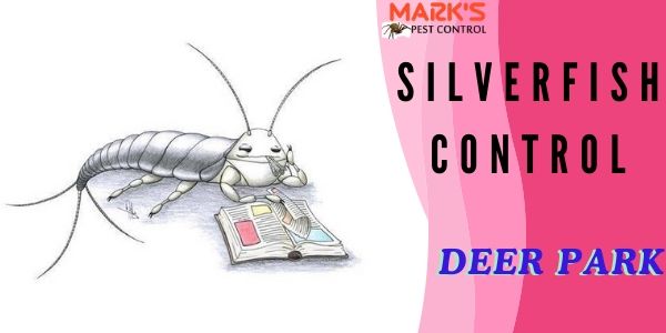 silverfish Pest Control