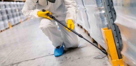 commercial pest removal