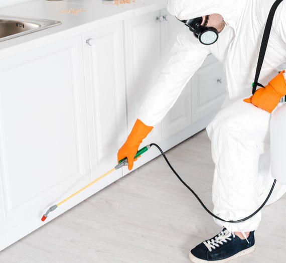 pest control specialist